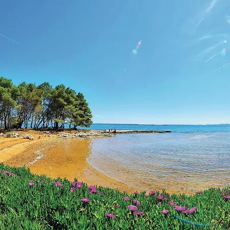 Awesome In With Wifi アパート *